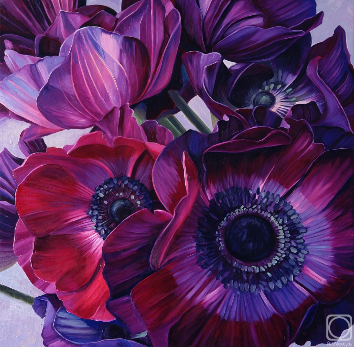 Vestnikova Ekaterina. Purple anemones