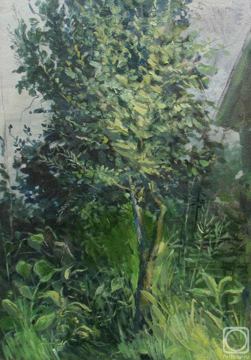 Kiktev Aleksey. A study of a tree
