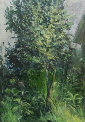 ���� ������