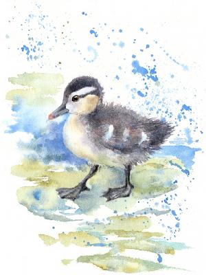 Duckling (Waterbird). Masterkova Alyona