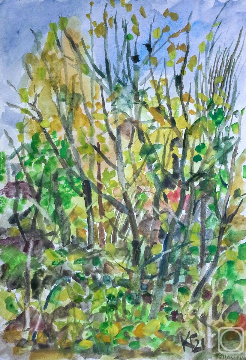 �������. �������� ������. 6 �������