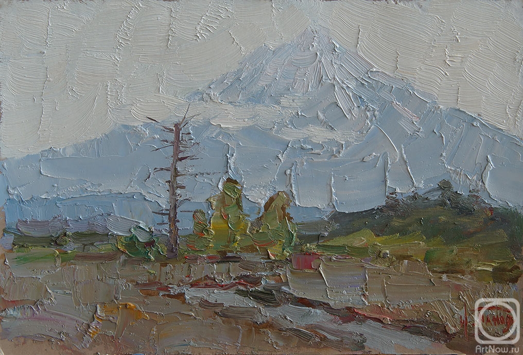 Panov Igor. Kamchatka volcano