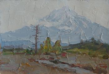 Kamchatka volcano. Panov Igor