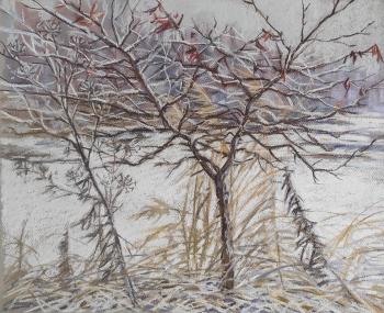 The first snow. Yakovleva Mariya
