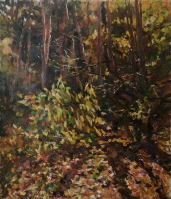 ������� ���������� �����