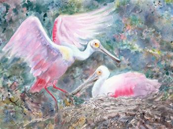Pair of Roseate spoonbills in the nest. Masterkova Alyona