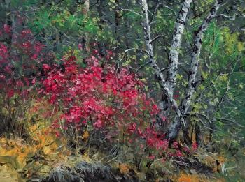 Red bush. Volya Alexander