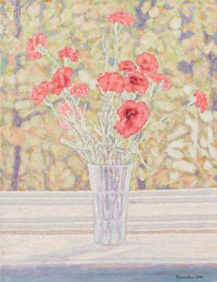 Carnations. Krasavin Sergey