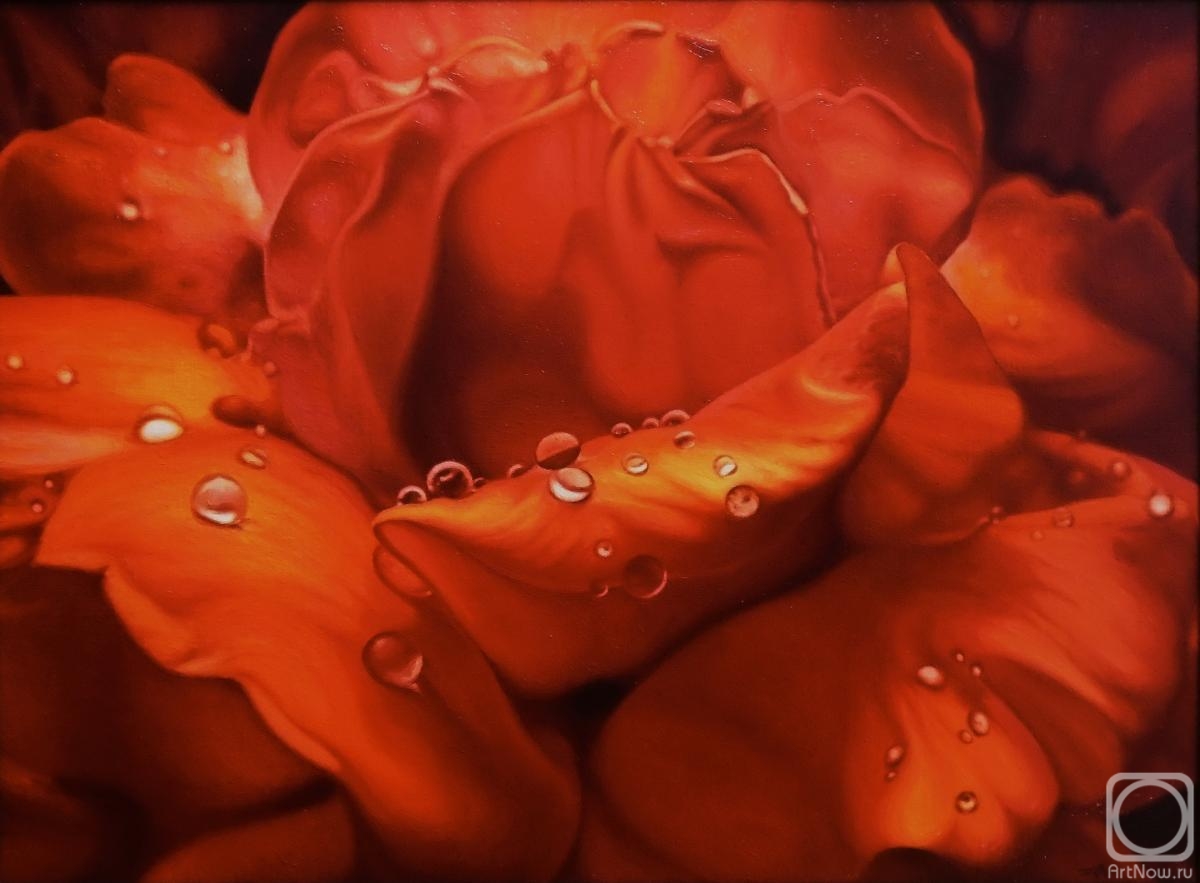 ������� ������ �� ������. ������� ����. ����������� ������