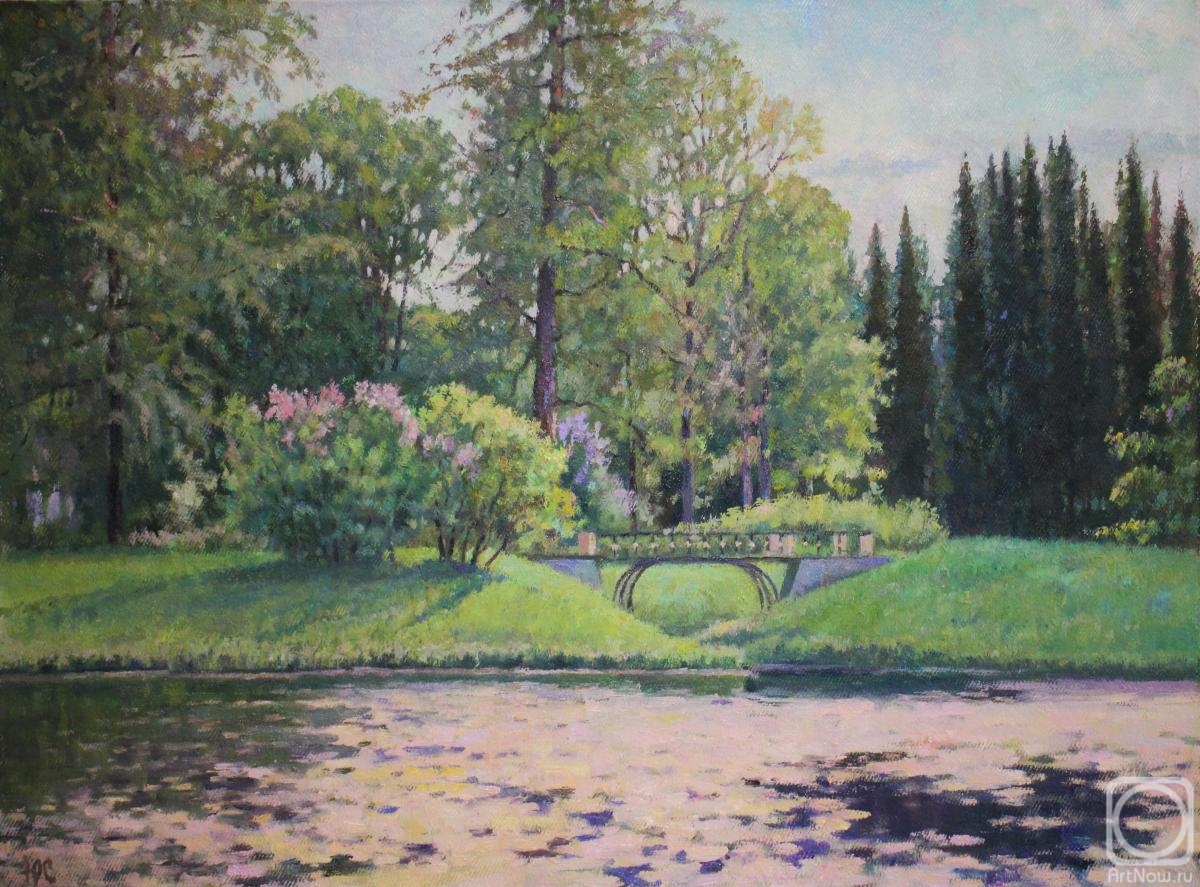 ������� ������ �� ������. ���������� ����. ������ ����