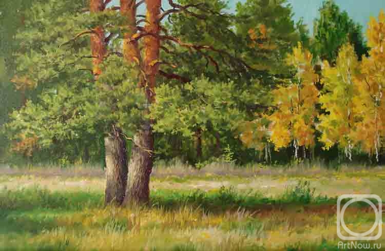 ������� ������ �� ������. �������� ���������. �������