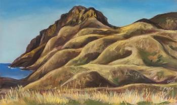 The velvet hills of Koktebel (Painting On Velvet). Ripa Elena