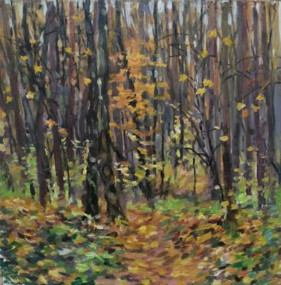 ������� ���������� �������