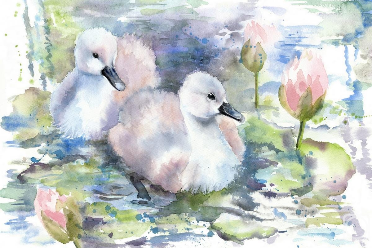 Masterkova Alyona. Little swans and water lilies