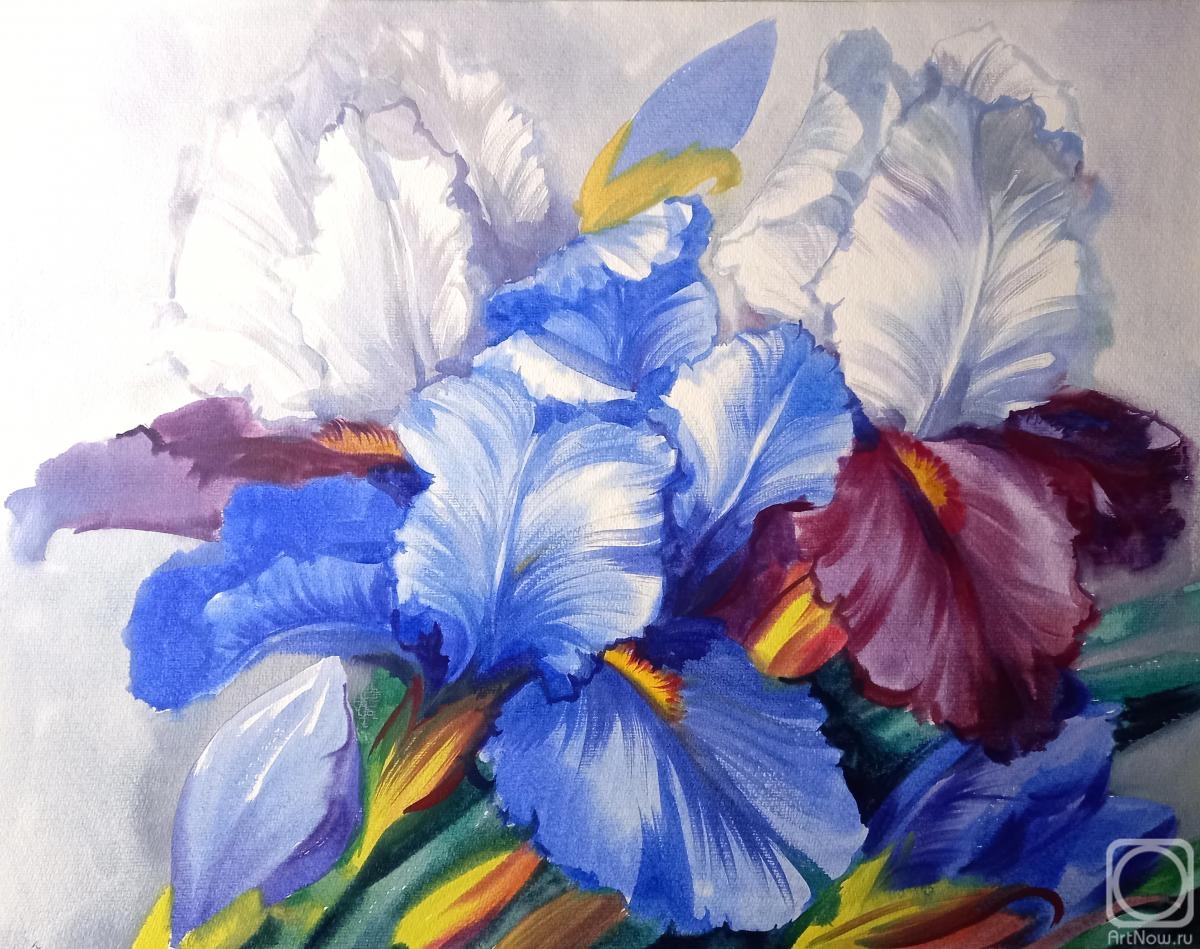 Mikhalskaya Katya. Spring irises