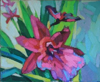 ������� �����������