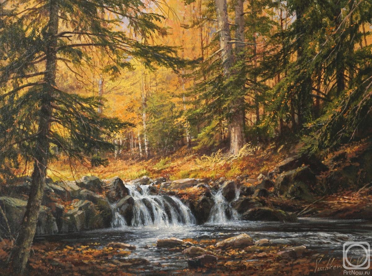 ������� ������ �� ������. ������� ������. ������� ����