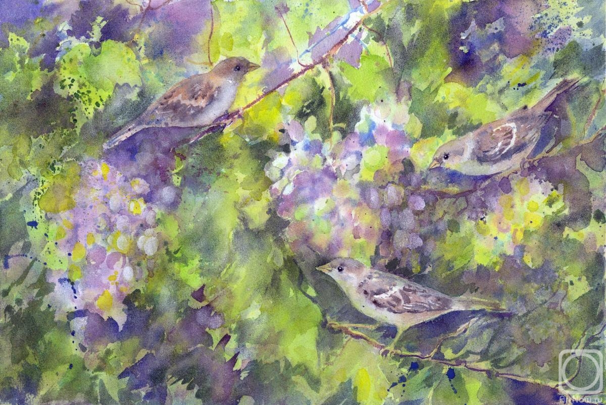 Masterkova Alyona. Grapes and sparrows