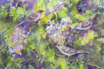Grapes and sparrows. Masterkova Alyona