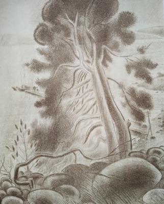 A tree on the rocks. Lebedev Valentin