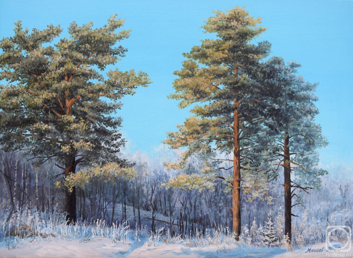 Myakishev Mihail. Pine trees