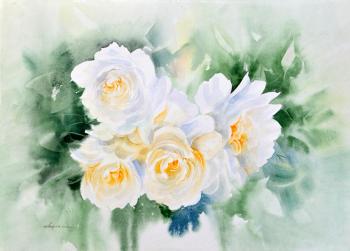 A White Roses Bush. Safi Alfiya