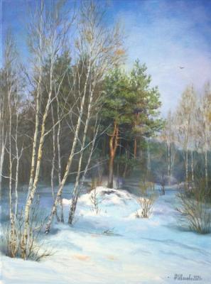 Pine on the hill. Ivanova Nadezhda