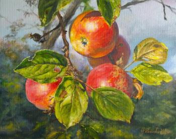 Red apples (Still Life With Apple Tree). Ivanova Nadezhda
