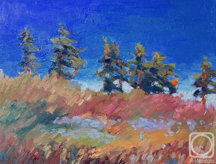 ������� ������ �� ������. ������ ���������. ������