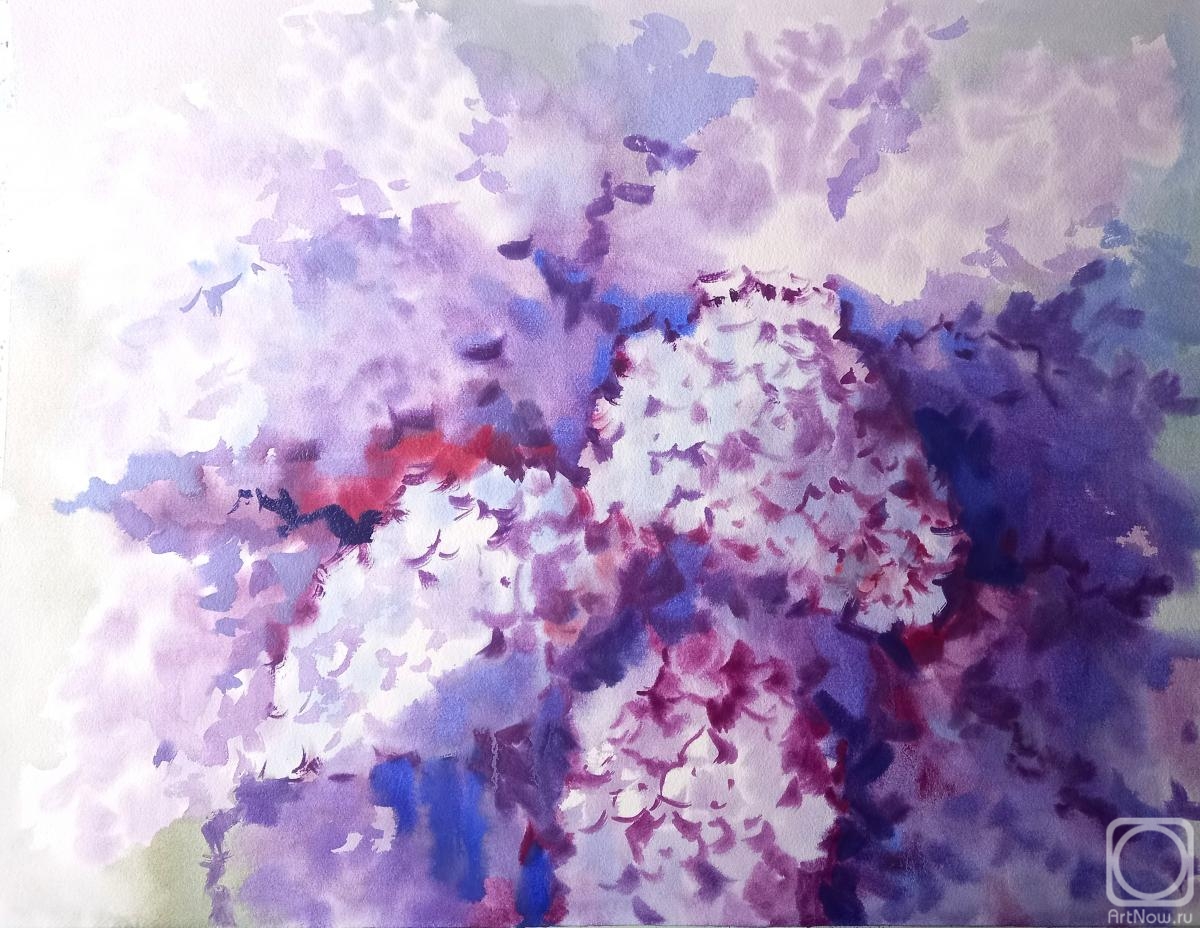 �������. ���������� ���������. ������