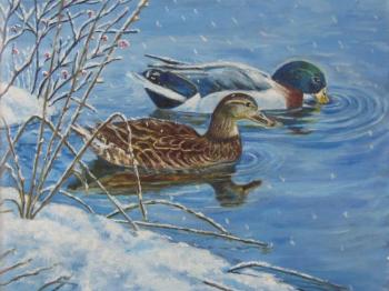 Ducks in a winter pond. Schedrinova Tatyana