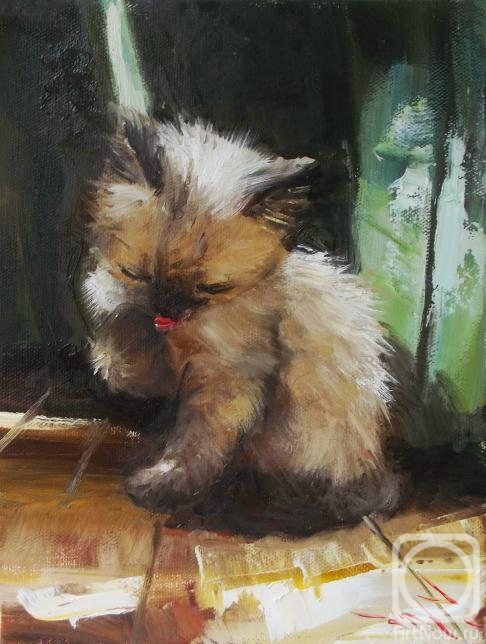 ������� ������ �� ������. ������ �������. ������