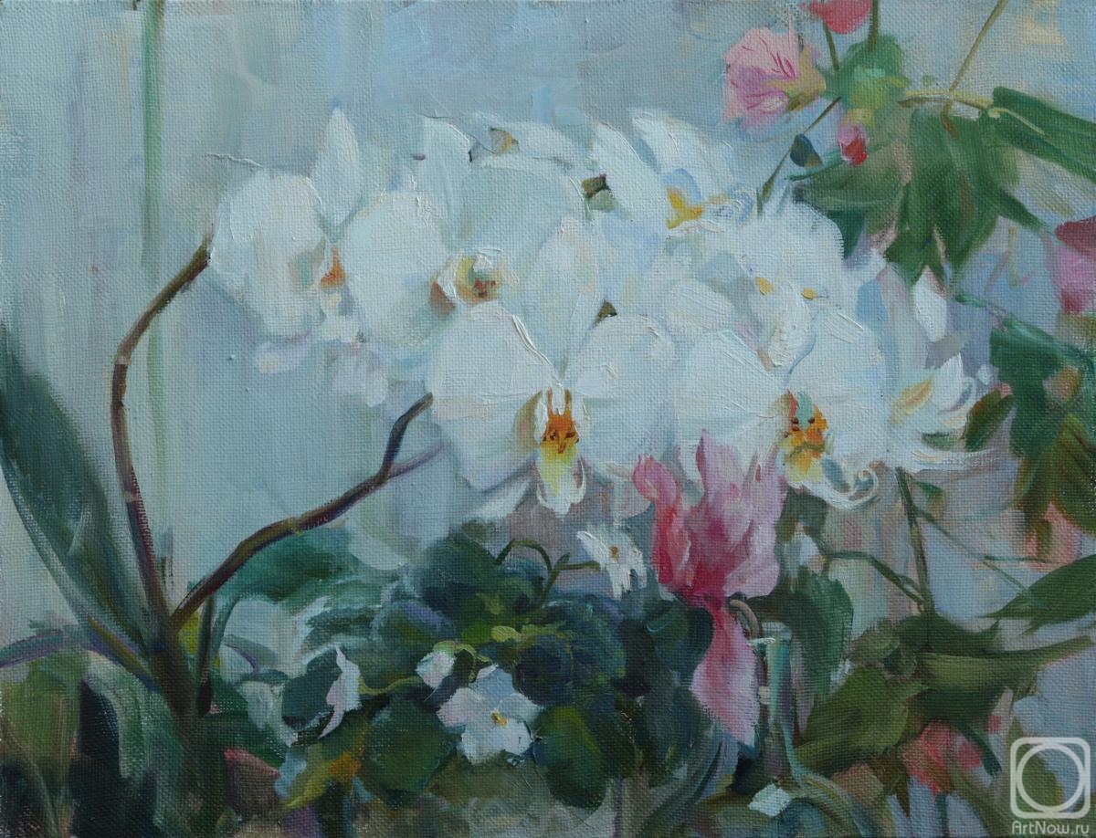 Averina Kseniya. White orchid