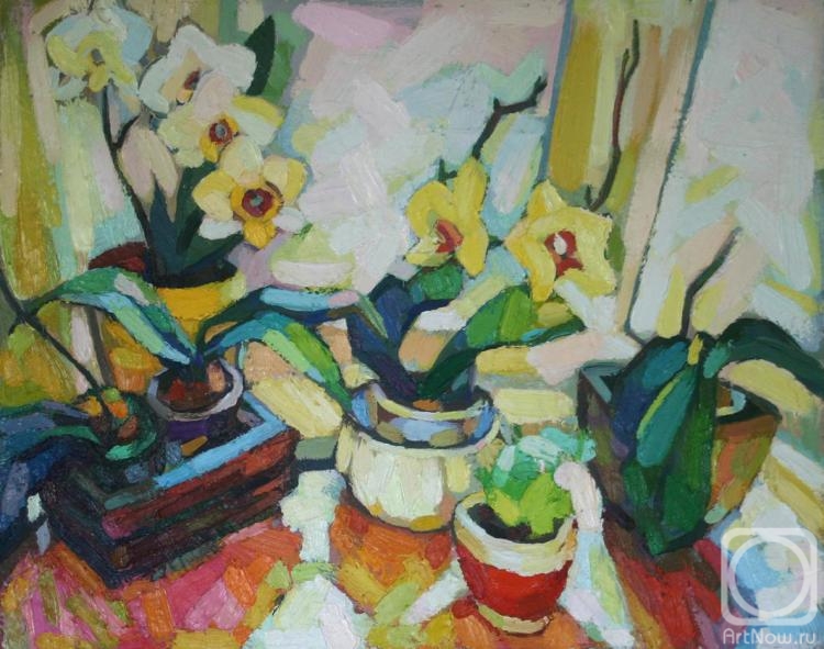 Kreynina Marina. Blooming, fading and faded