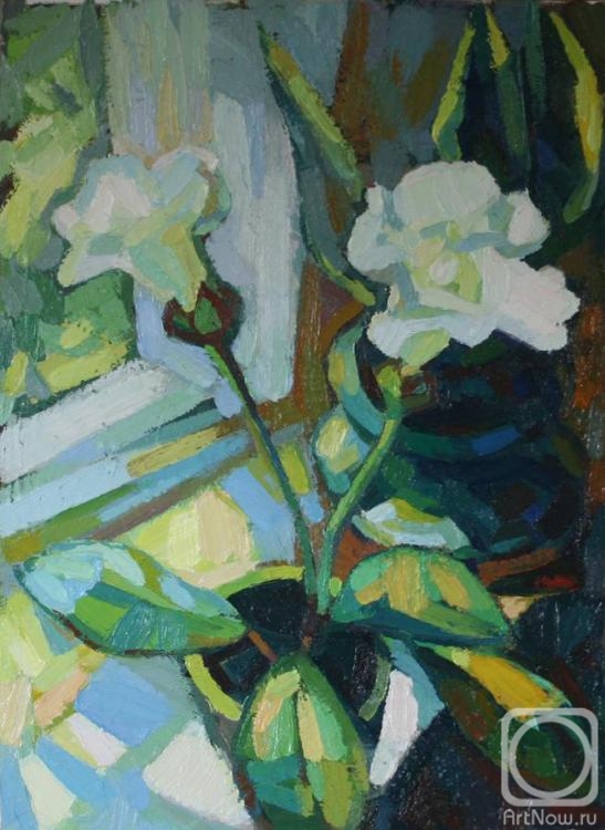 �������. �������� ������. ���������