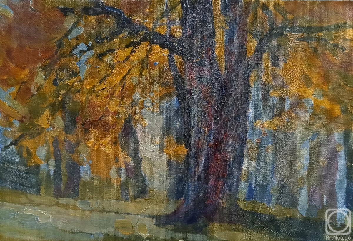 ������� ������ �� ������. ��������� �����. ���