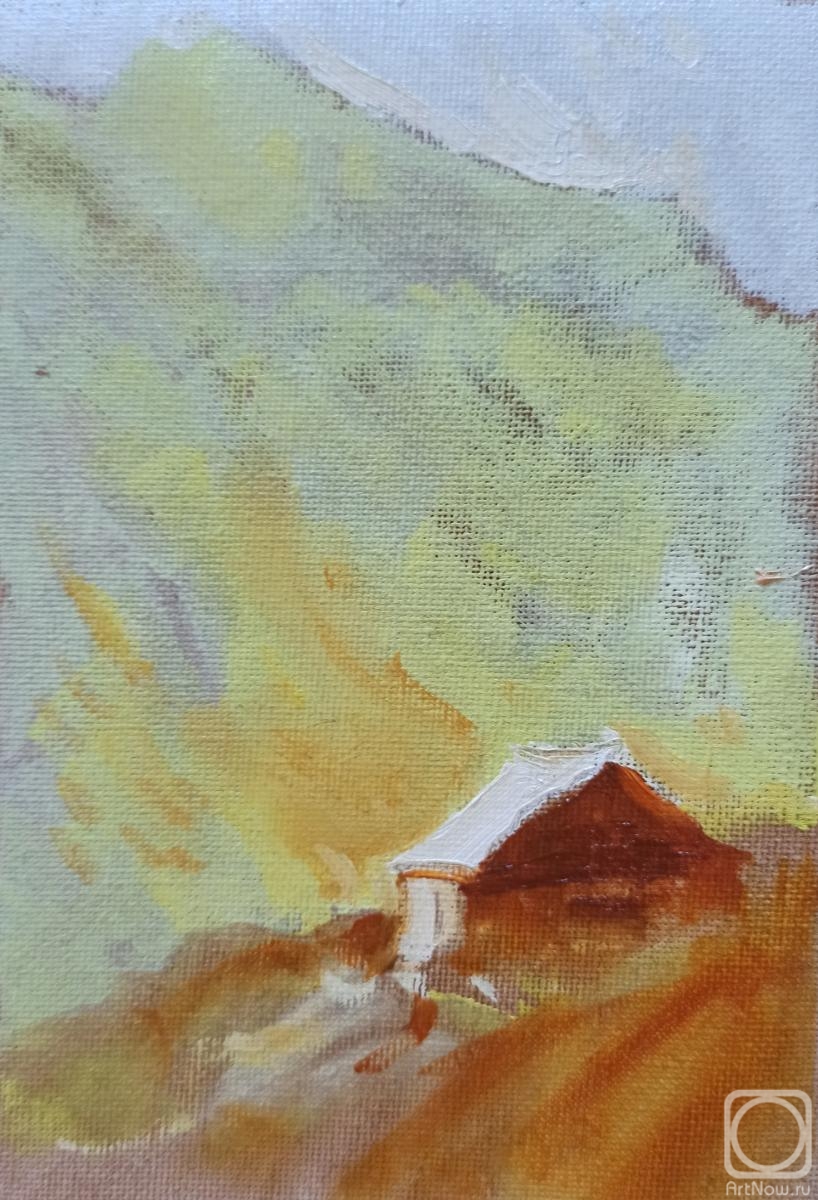Mironenko Darya. House in the mountains