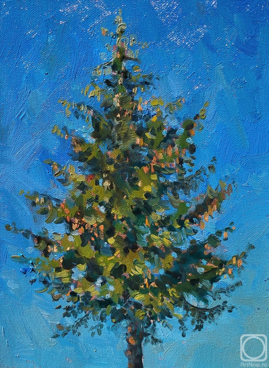 ������� ������ �� ������. ��������� �������. ���