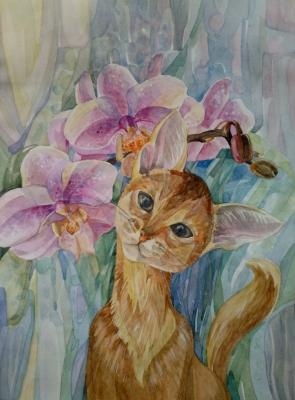The cat in orchids ( ). Vil Natalya