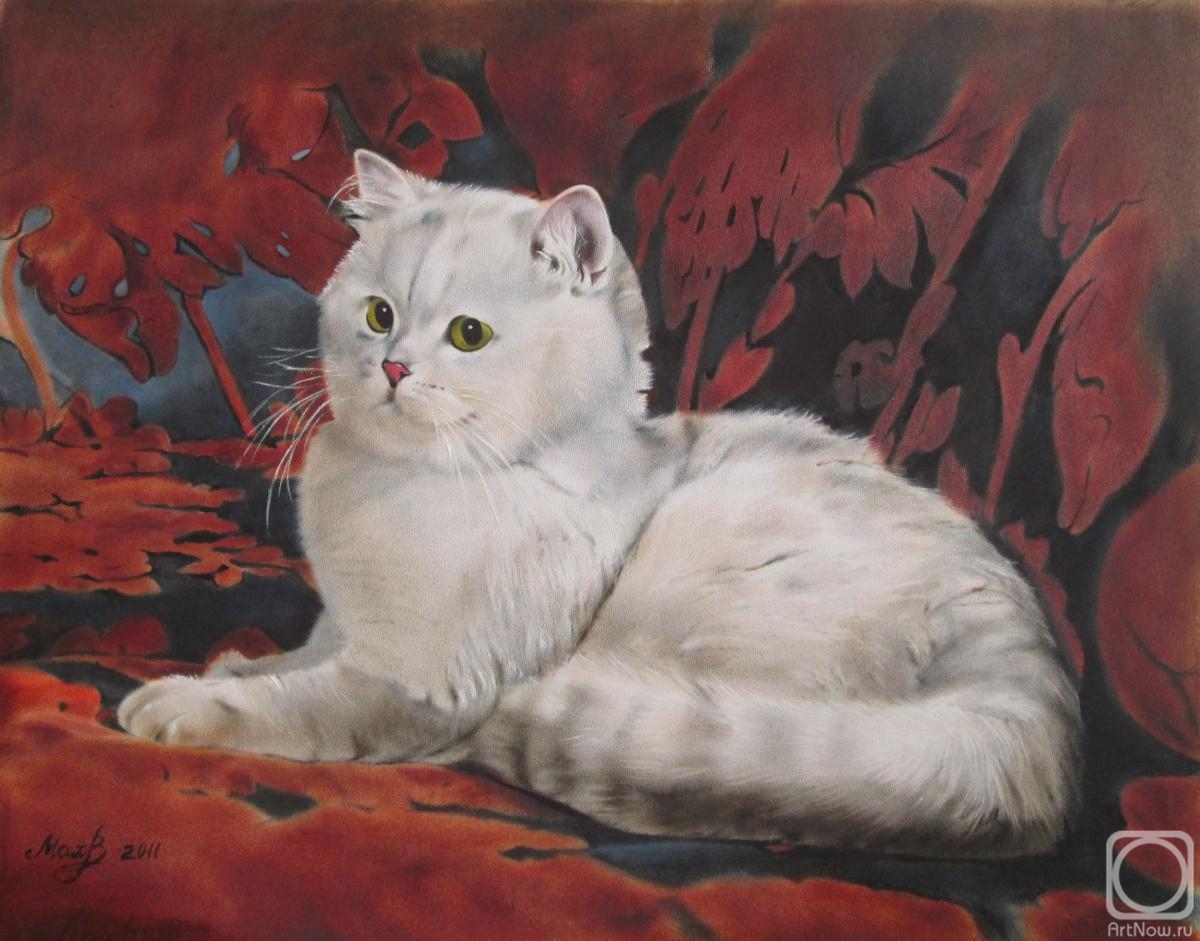 Mahnach Valeriya. White cat