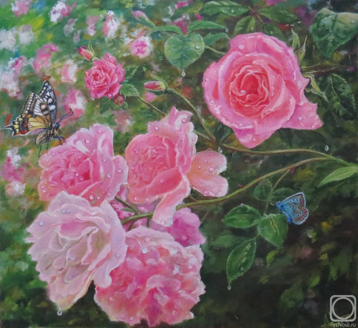 �������. �������� ���������. � ������� ���������� ���-���!