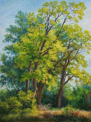 Landscape with trees (etude). Shumakova Elena