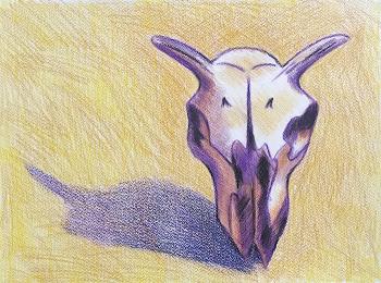 ������� �479 (����� ���������)�