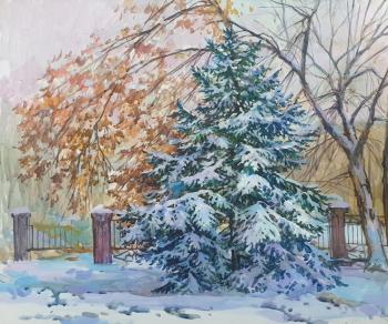 Fir (Spruce Under Snow). Krasnoschekova Tatyana