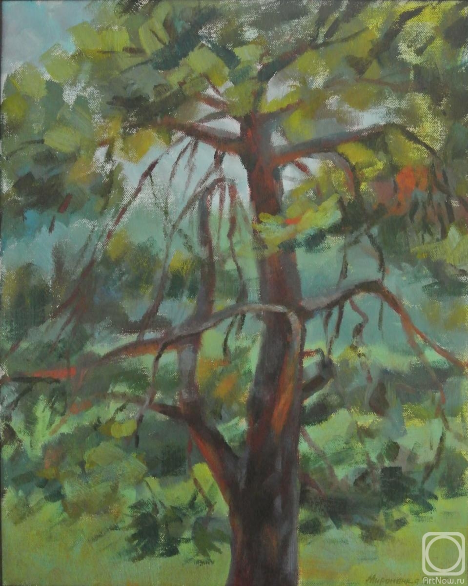 ������� ������ �� ������. ��������� �����. �����