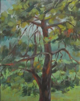 ������� ������