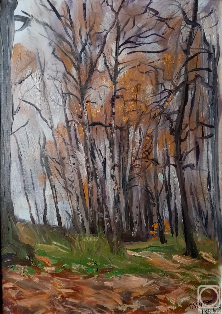 Dobrovolskaya Gayane. Birches in a ravine, autumn