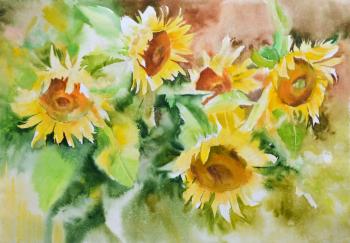 Sunflowers. Safi Alfiya