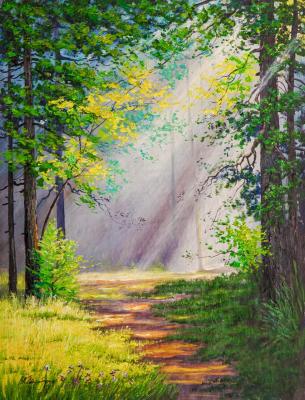 Sun rays through the crowns of trees. Sharabarin Andrey