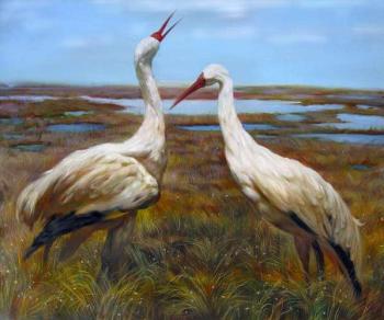 Siberian Cranes (Symbol Of Yakutia). Zhukoff Fedor